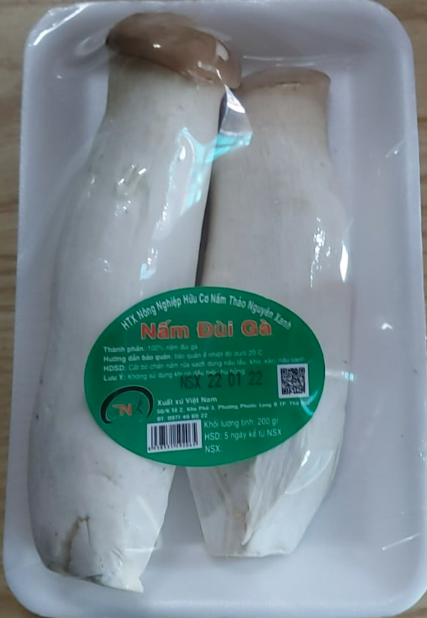 Nấm đùi gà